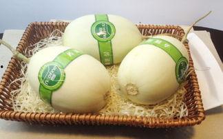 怀孕初期可以吃白玉瓜吗,白玉瓜的适宜食用解析