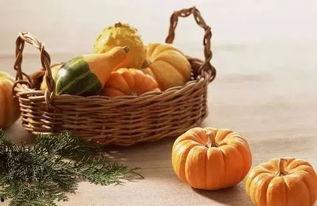 五一吃瓜网免费吃瓜,免费瓜果盛宴等你来尝！