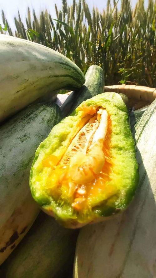 道具安静吃瓜,安静吃瓜，揭秘娱乐圈幕后风云