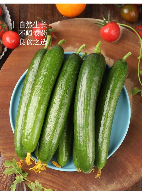 小瓜生吃可以吃吗,安全食用指南与注意事项